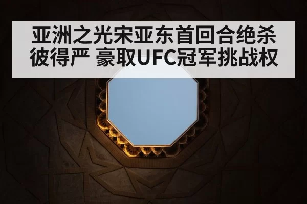亚洲之光宋亚东首回合绝杀彼得严 豪取UFC冠军挑战权